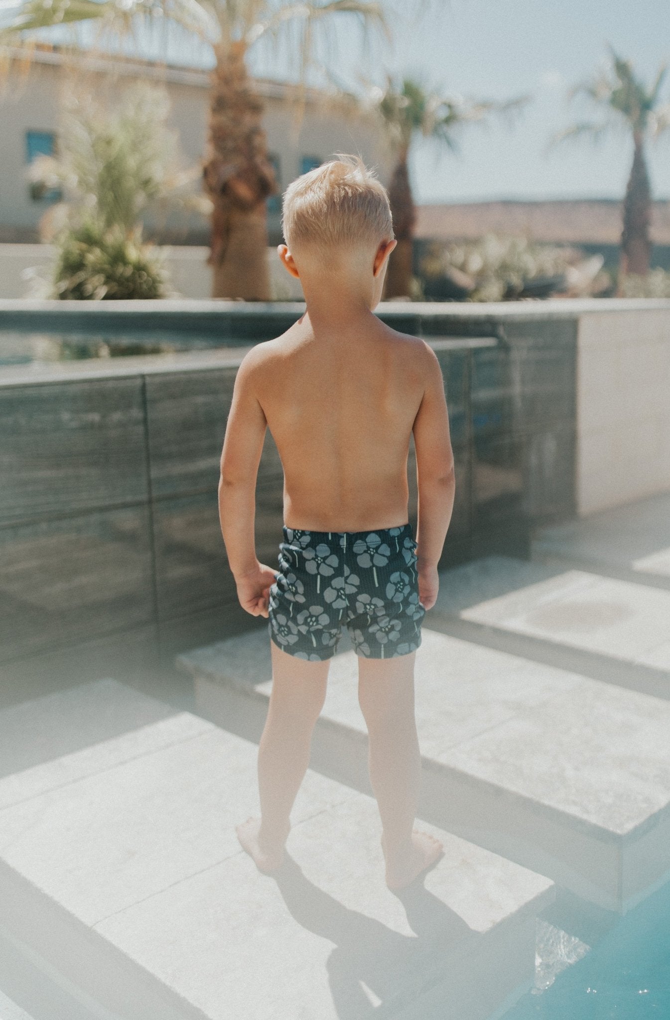 THE JAMES || FREEDOM POPPY - 18 Summers